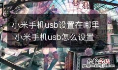 小米手机usb设置在哪里 小米手机usb怎么设置