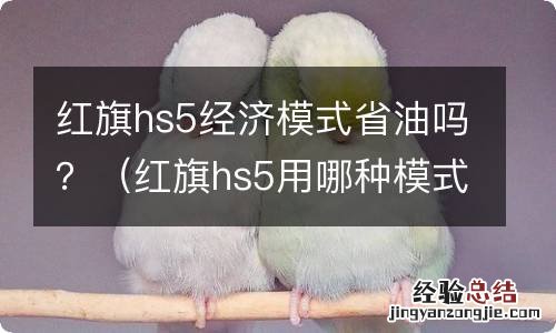 红旗hs5用哪种模式驾驶 省油点 红旗hs5经济模式省油吗？