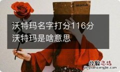 沃特玛名字打分116分 沃特玛是啥意思