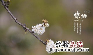 24节气惊蛰是什么意思当中的是什么意思 24节气惊蛰是什么意思