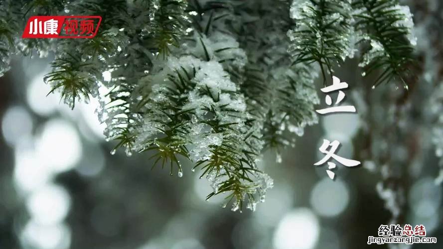 立冬是什么时候
