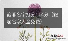 鲍起名字大全免费 鲍菲名字打分114分