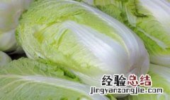 大白菜与娃娃菜有什么区别 娃娃菜和大白菜的区别