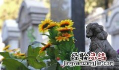 人死在家里怎么办手续 人在家里死了以后流程