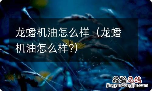 龙蟠机油怎么样? 龙蟠机油怎么样