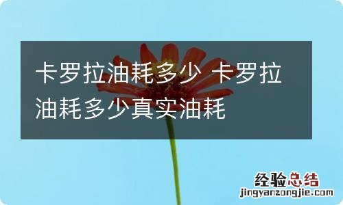 卡罗拉油耗多少 卡罗拉油耗多少真实油耗