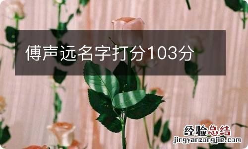 傅声远名字打分103分