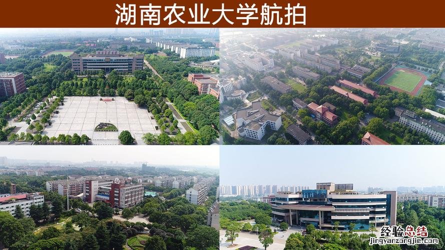 湖南农业大学怎么样