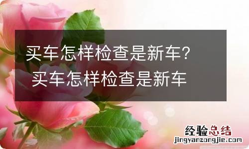 买车怎样检查是新车？ 买车怎样检查是新车