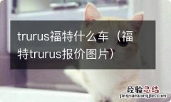 福特trurus报价图片 trurus福特什么车