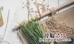 河南小麦储存方法 怎样储存河南小麦