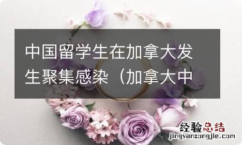 加拿大中国留学生事件 中国留学生在加拿大发生聚集感染