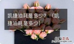 凯捷油耗是多少 凯捷油耗是多少？