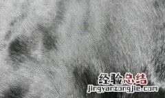 刮牛毛的正确方法 刮牛毛有什么好方法