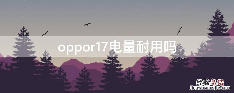 oppor17电量耐用吗