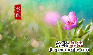 谷雨的寓意是什么 谷雨有什么寓意