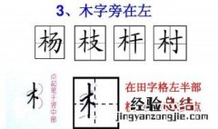 带木字旁的男孩名字 带木字旁的男孩名字大全 五行缺木怎么起名女孩