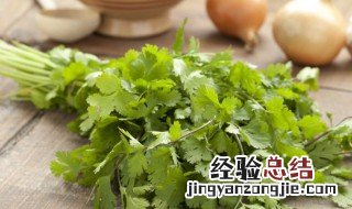 地里种香菜方法 农村种香菜怎么种