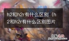 h2和h2r有什么区别图片 h2和h2r有什么区别