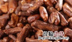 薄公英根茶功效与作用是什么 蒲公英根茶的好处介绍