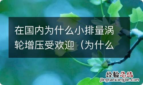 为什么懂车的不推荐买小排量涡轮 在国内为什么小排量涡轮增压受欢迎