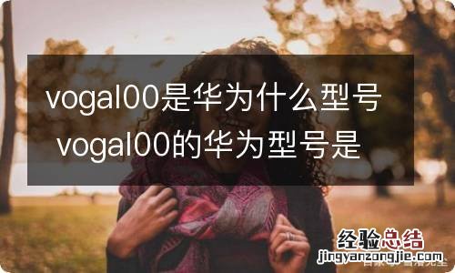 vogal00是华为什么型号 vogal00的华为型号是什么