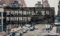 宝马符号是什么？ 宝马车标特殊符号