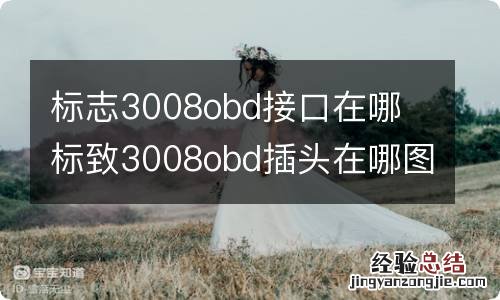 标志3008obd接口在哪 标致3008obd插头在哪图解