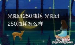 光阳ct250油耗 光阳ct250油耗怎么样