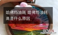 哈佛f5油耗 哈佛f5油耗高是什么原因