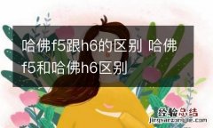 哈佛f5跟h6的区别 哈佛f5和哈佛h6区别