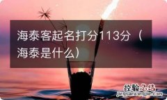 海泰是什么 海泰客起名打分113分