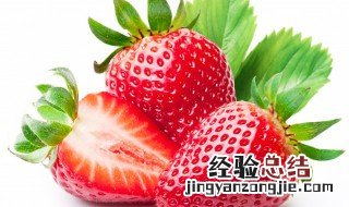 草莓一年四季都可以种吗? 草莓一年四季都能种吗