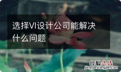 选择VI设计公司能解决什么问题