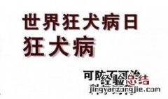 世界狂犬病日是每年的几月几日 世界狂犬病日介绍