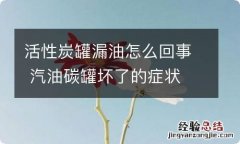 活性炭罐漏油怎么回事 汽油碳罐坏了的症状