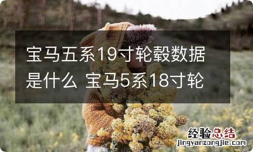 宝马五系19寸轮毂数据是什么 宝马5系18寸轮毂数据