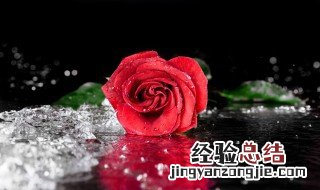 3朵玫瑰花语代表什么意思 玫瑰花语代表什么意思