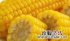 玉米需要放冰箱吗 玉米可以直接放冰箱吗