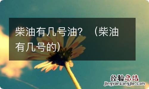 柴油有几号的 柴油有几号油？
