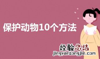 保护动物10个方法 保护动物应该要这样做