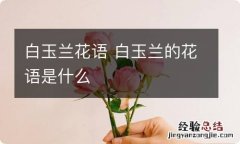 白玉兰花语 白玉兰的花语是什么