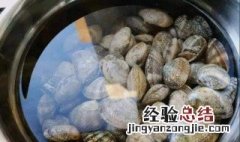 花蛤的清洗方法 正确清洗花蛤的3种方法