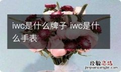 iwc是什么牌子 iwc是什么手表