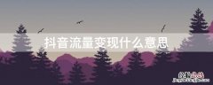 抖音流量变现什么意思