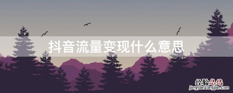 抖音流量变现什么意思