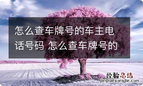 怎么查车牌号的车主电话号码 怎么查车牌号的车主电话号码挪车牌