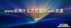 www采用什么方式组织web资源