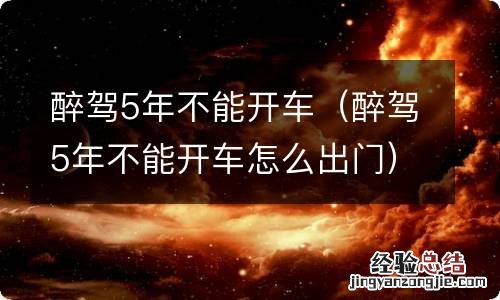 醉驾5年不能开车怎么出门 醉驾5年不能开车