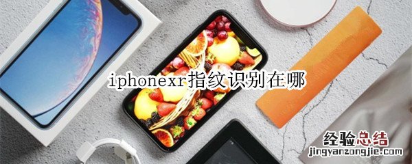 iphonexr指纹识别在哪